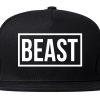Beast Snapback Hat