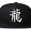 Chinese Symbol For Dragon Chest Mens Snapback Hat