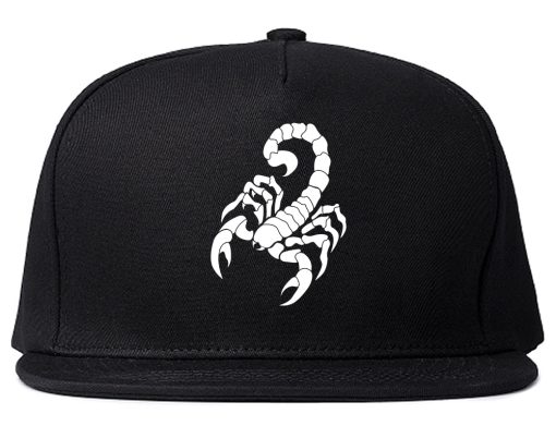 Scorpion Insect Mens Snapback Hat