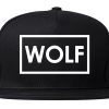 Wolf Box Logo Snapback Hat